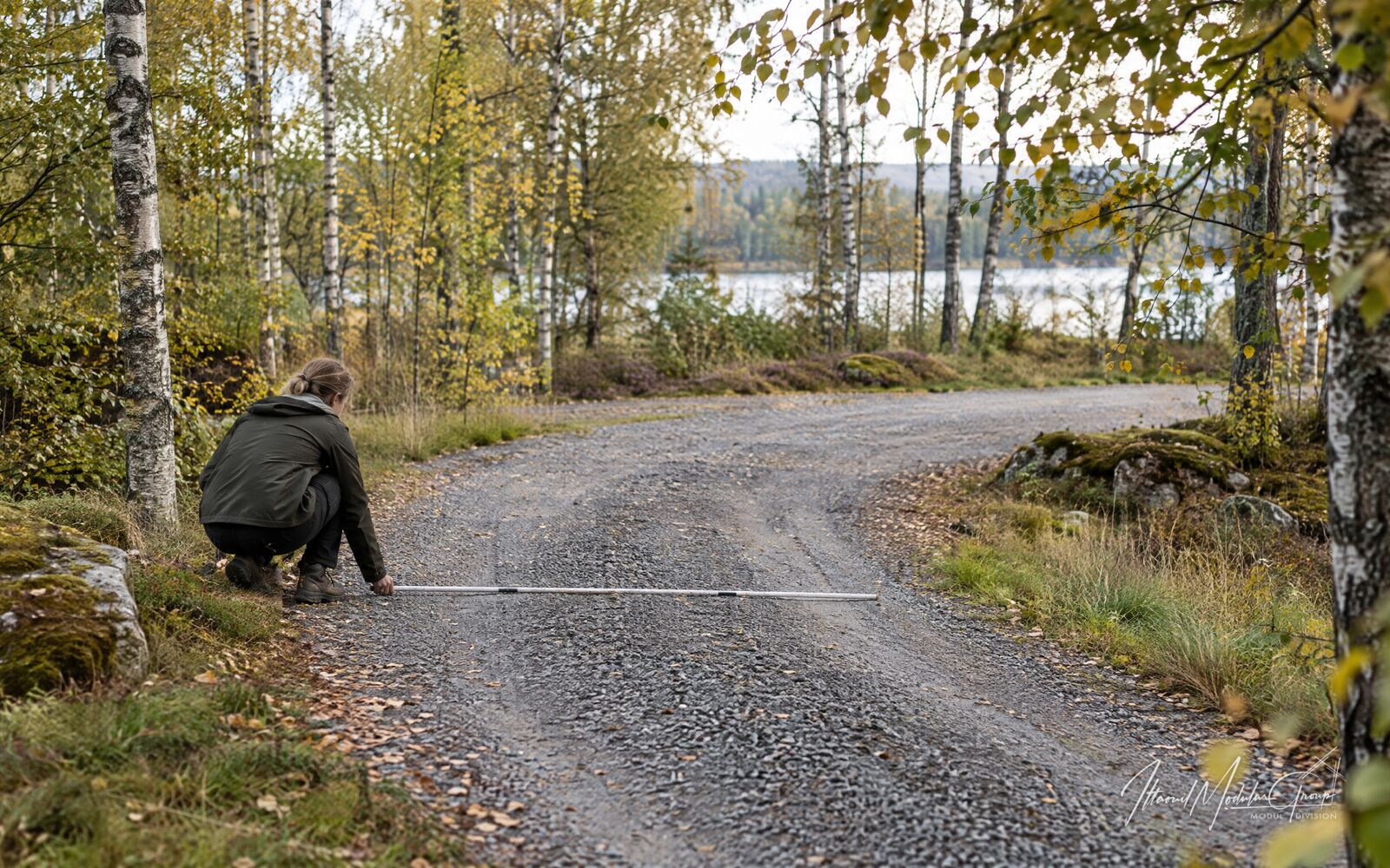 En fagperson undersøger bredden i et sving på en grusvej mellem birketræer